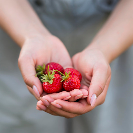 Strawberry Cake Body Cream