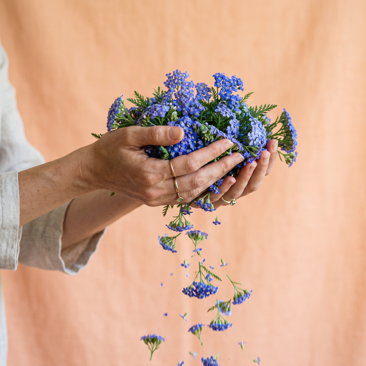 Blue Yarrow Solid Serum