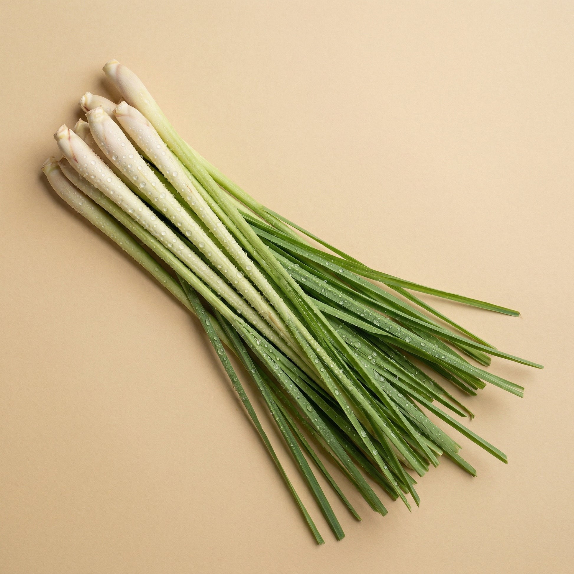 Lemongrass Basil Deodorant