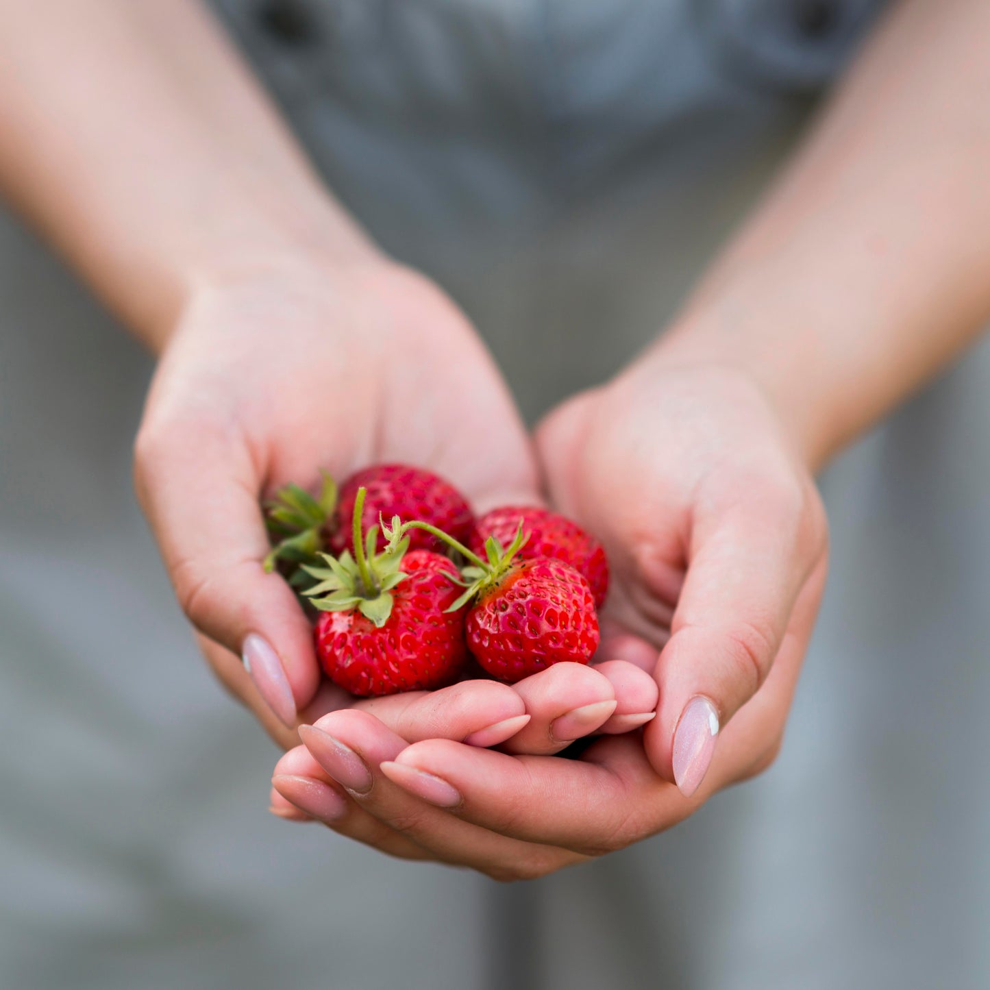 Strawberry Cake Body Cream